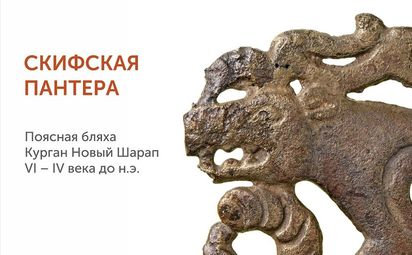Котики в Краеведческом
