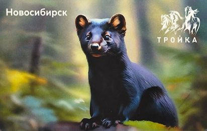Тройка