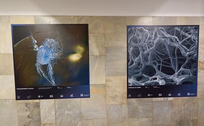 Снимай науку!