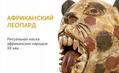Котики в Краеведческом